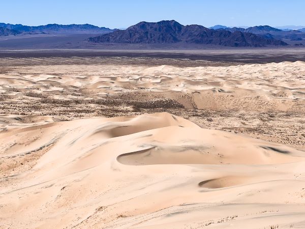 Pol Syrett: Mojave Desert