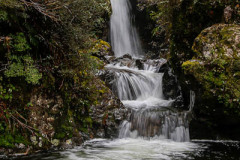 07 Avalanche creek  - waterfall