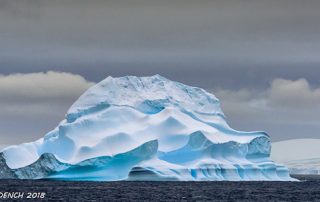 Iceberg - shapes seen at Antarctic Peninsula