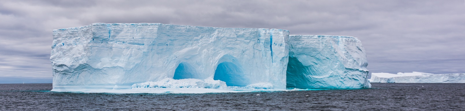 Barry Dench: Iceberg