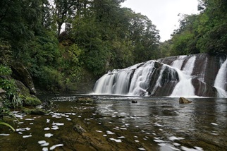 Peter Hockley: Waterfall Peter Hockley: Waterfall