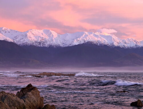Kaikoura Details and Registrations