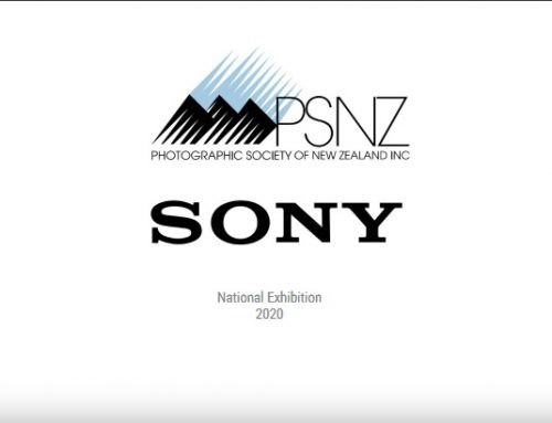 PSNZ Sony National Exhibition