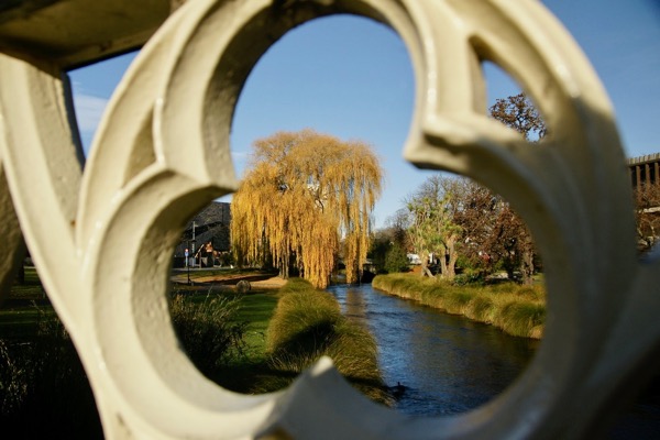 Liz Clark: City Green Spaces