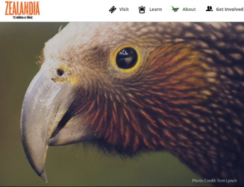 Register for Zealandia Nature Sanctuary
