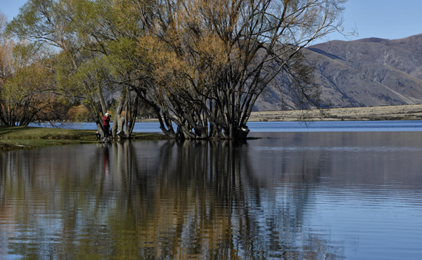 Sue Blair: Lake Camp