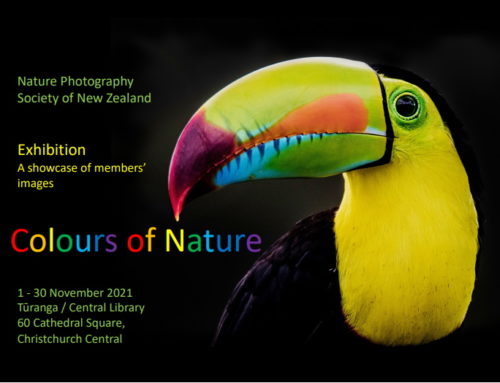 NPSNZ Exhibition: Colours of Nature