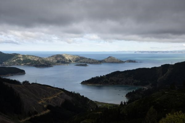 Sue Blair: Marlborough Sounds