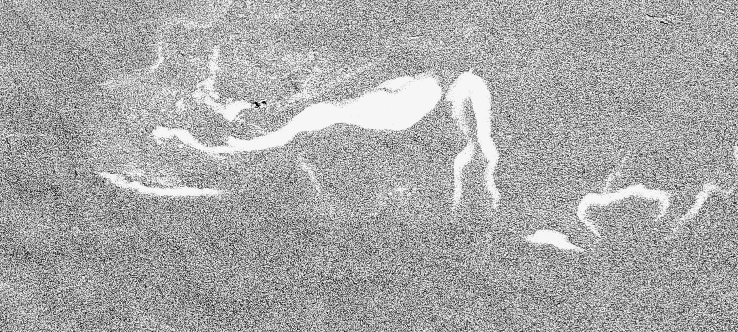 Carolyn Collins: Waimairi Beach Carolyn Collins: Waimairi Beach