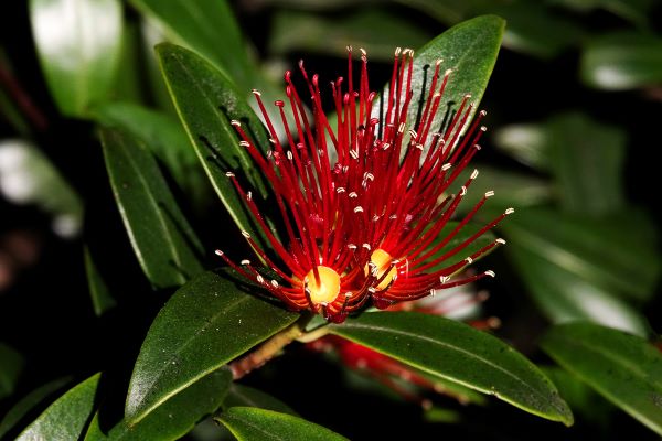 Maureen Pierre: Washpen Falls Maureen Pierre: Washpen Falls