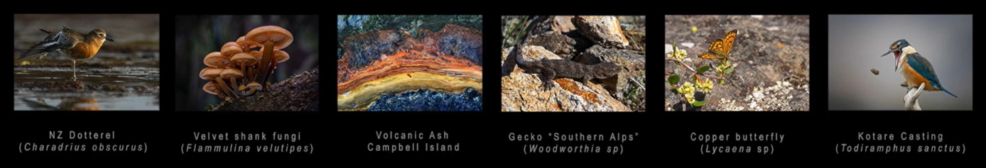 4th Nature Photography Society of NZ