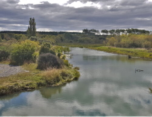 Ashley/Rakahuri Estuary Details and Registrations