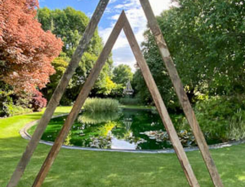 Trott’s Garden Report
