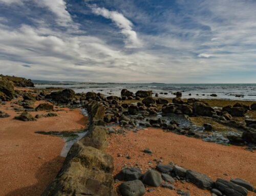 Moeraki Boulders Registration