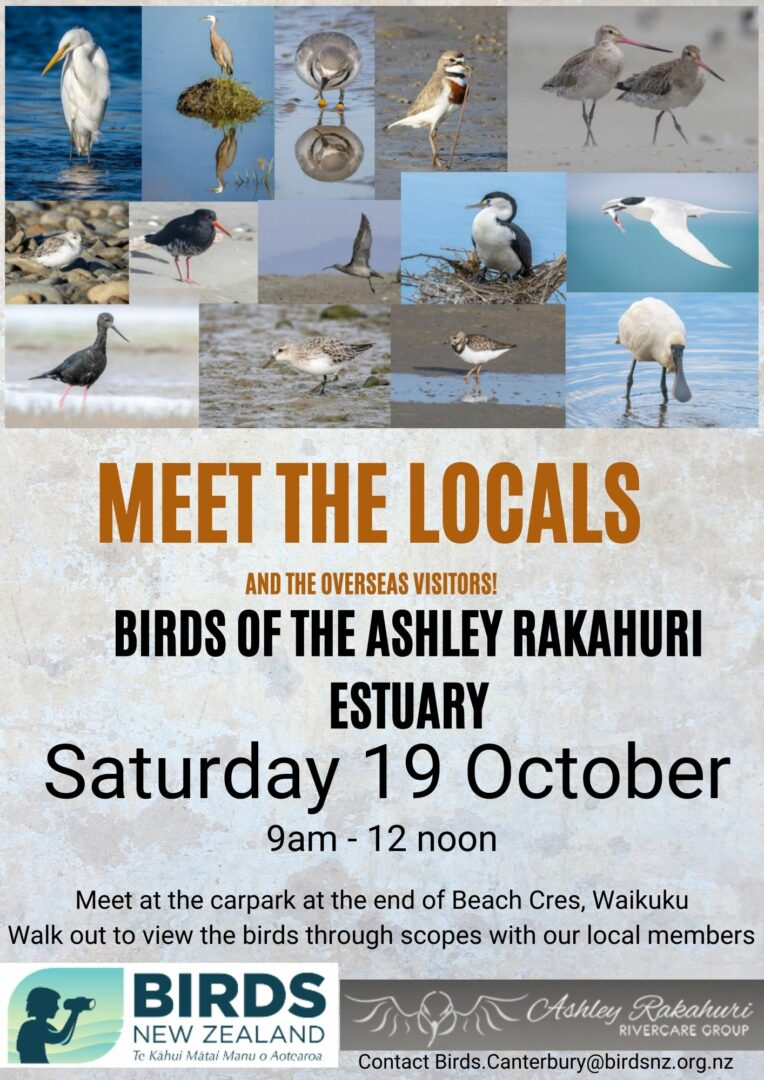 Ashley Rakahuri Estuary Open Day