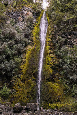 Dog Stream Waterfall Hanmer Springs N Campbell