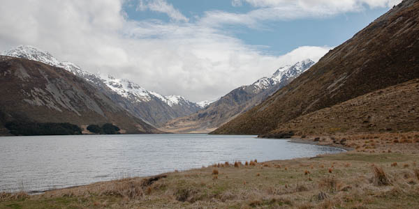 Francie Winter: Lake tennyson