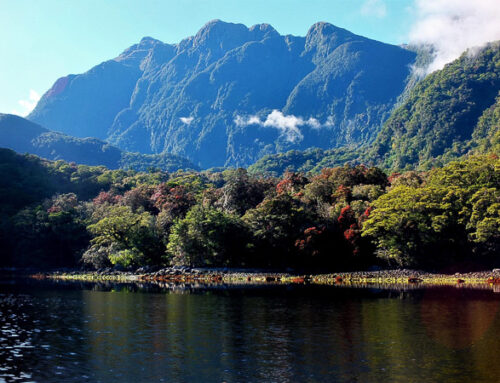 Northern Fiordland on MV Flightless