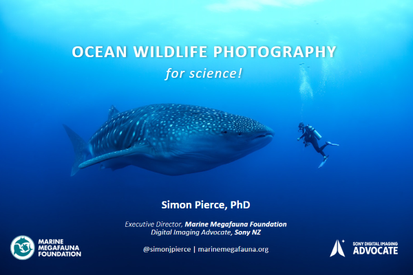 Ocean Wildlife Photography for Science