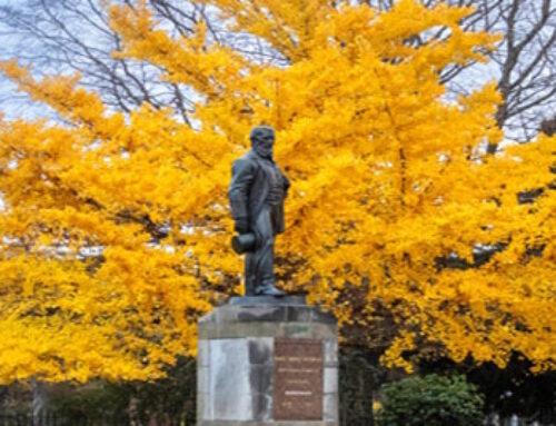 Autumn at the Botanical Gardens
