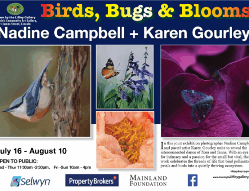 Birds, Bugs and Blooms