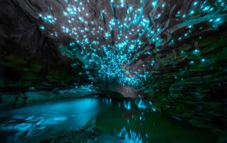 John Cartwright-Glow worms-Henderson Photographic Society