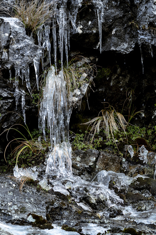 Icicles Icicles