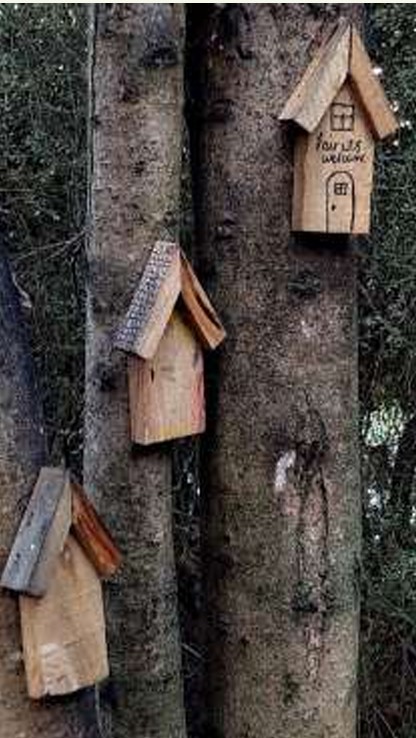 Three nest boxes