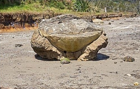 James Thompson James Thompson