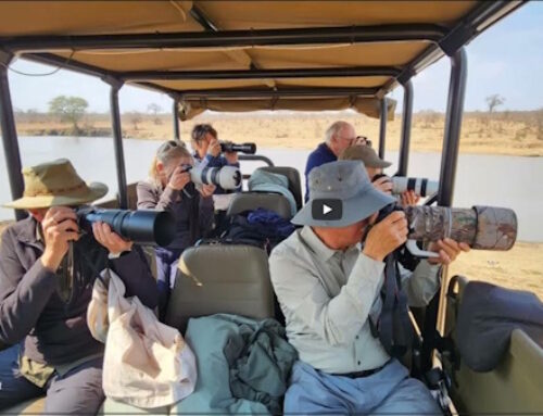 Maan’s Talk “Wildlife in Kruger National Park”