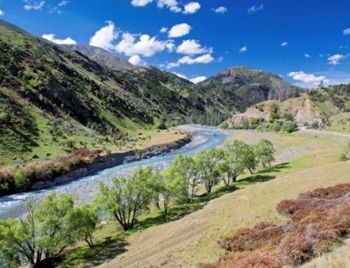 Molesworth – Rainbow