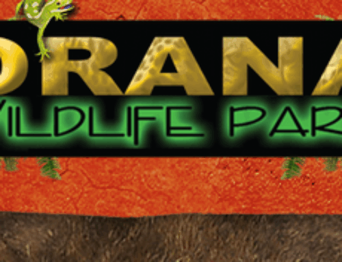 National Geographic Exhibition at Orana Park