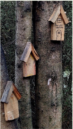 ThreeBoxes Mesmerized by a kiwi - 1963 (Paul Jensen)