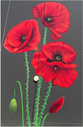 ThreePoppies Kakapo searches Fiordland (Paul Jansen)