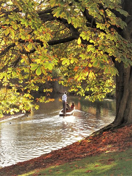 Avon Autumn Punters (Dave Shepherd)