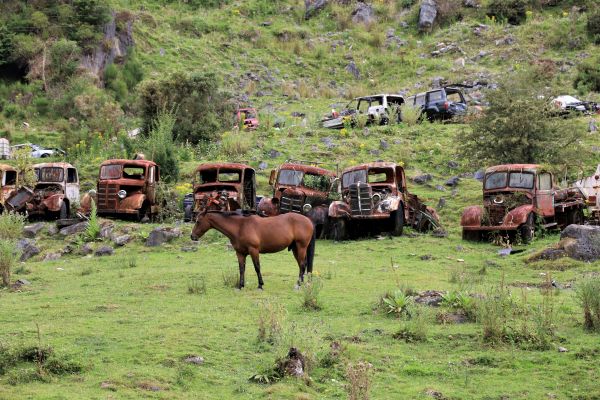 Limited horsepower (Dave Shepherd)