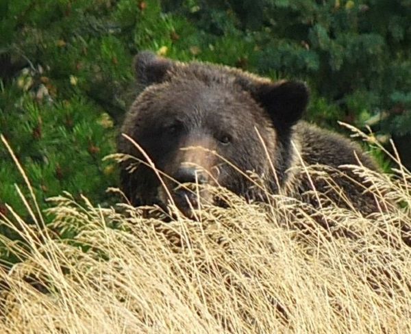 Here’s looking at You!! (Colin Law)