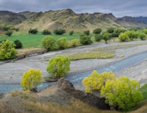 Molesworth & Rainbow Roads – 26 Feb to 1 March 2026