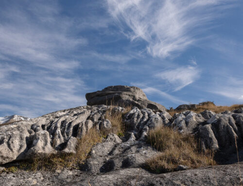 Castle Hill Trip Report May 2026