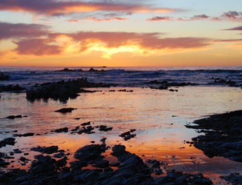Kaikoura 4 – 6th September