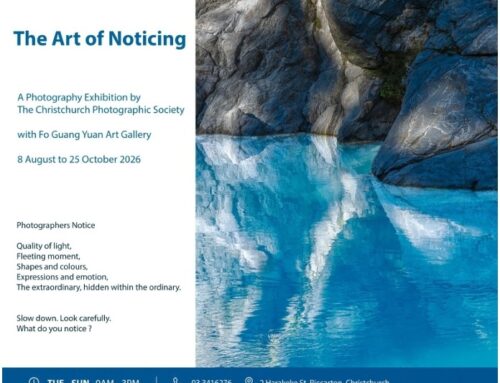 Exhibition: The Art of Noticing