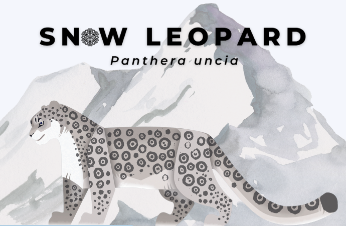 Snow Leopard