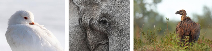 Mary-Louise Myburgh 1st Place 2025: Pukekohe Franklin Camera Club