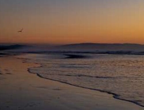 Woodend Beach – 16 September 2026