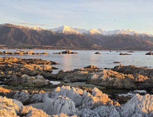 Kaikoura Trip September 2026